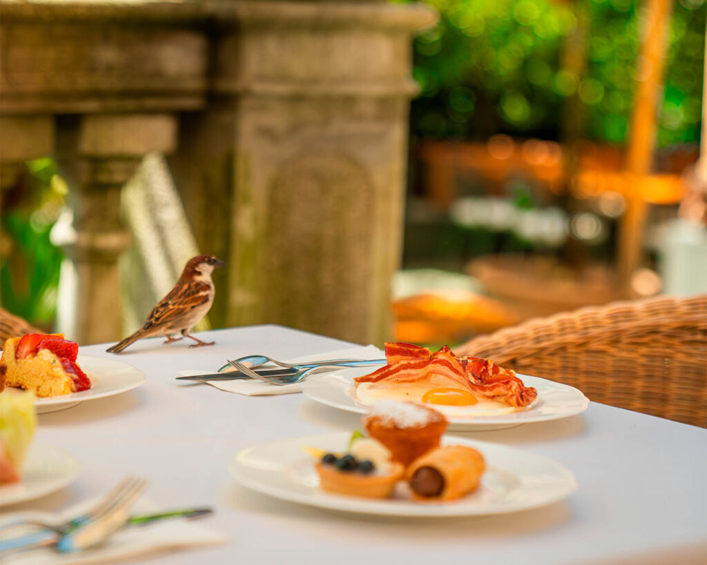 Colazione a buffet - Hotel Villa Miravalle, Riva del Garda (foto 23)