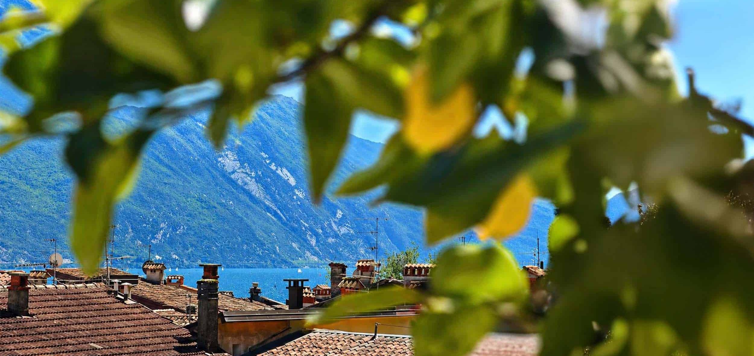 Camere e suite - Hotel Villa Miravalle, Riva del Garda (foto 49)